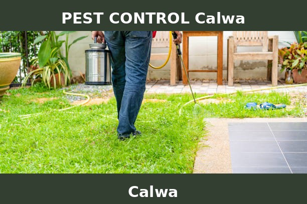 PEST CONTROL Calwa
